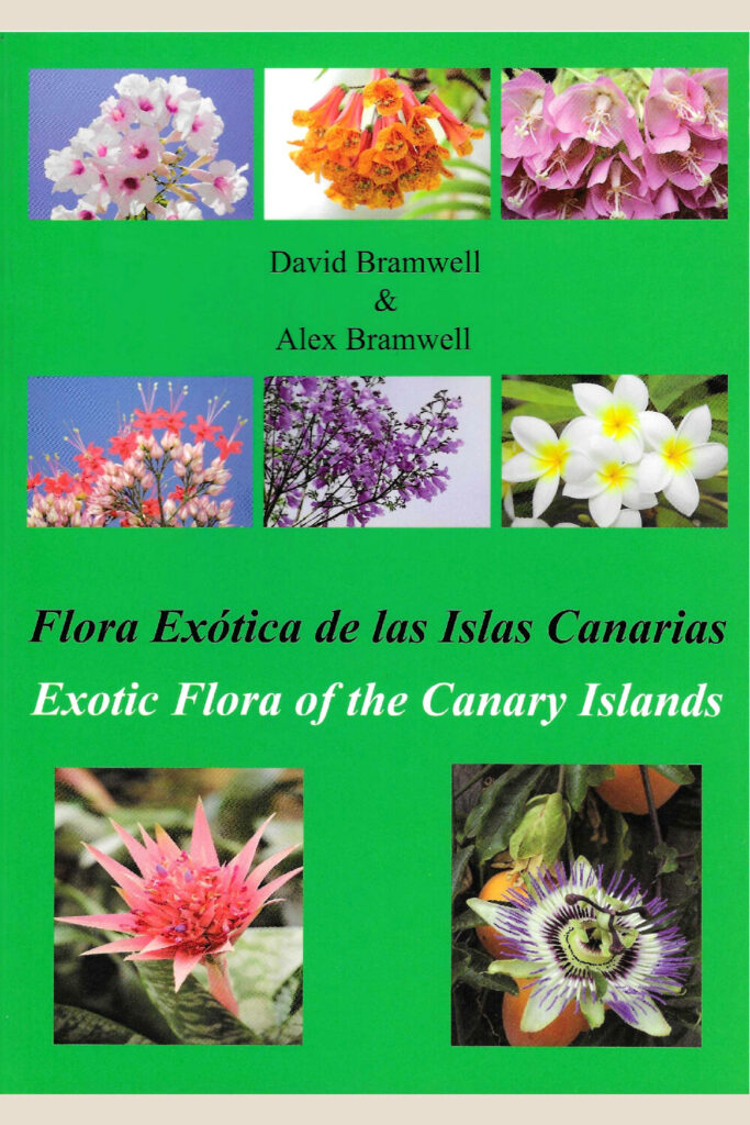FLORA EXOTICA DE LAS ISLAS CANARIAS — portada